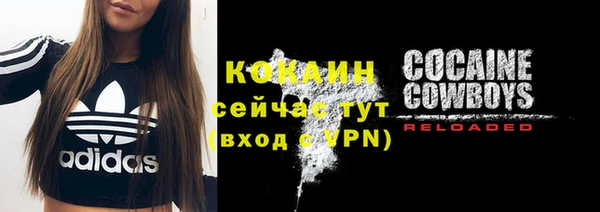 дмт Лиски