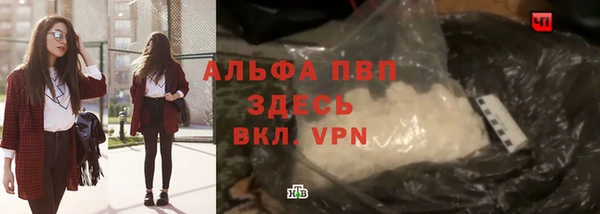 PSILOCYBIN Заводоуковск
