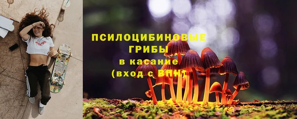 соль ск Орехово-Зуево